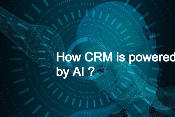 Use Cases of CRM FS powered AI